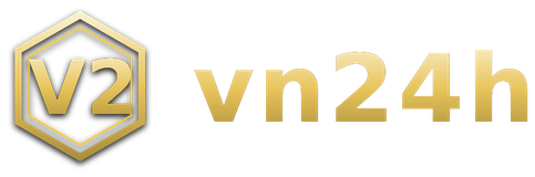 vn24h โลโก้